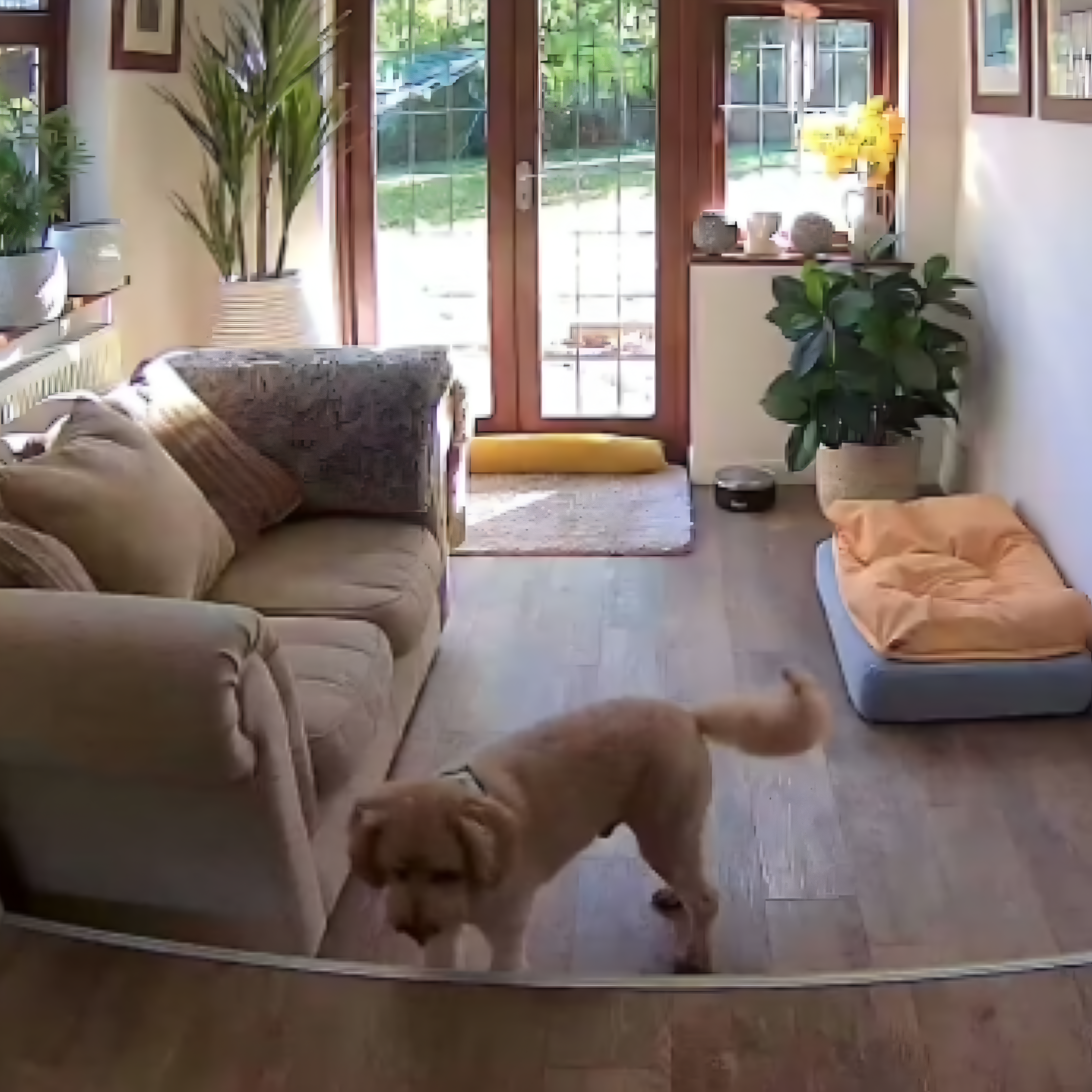 SpyFocus reviews Sophia L.